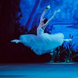 Legendary ballet photographer Paul&nbsp;Kolnik