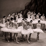 An exhibition of ballet photography